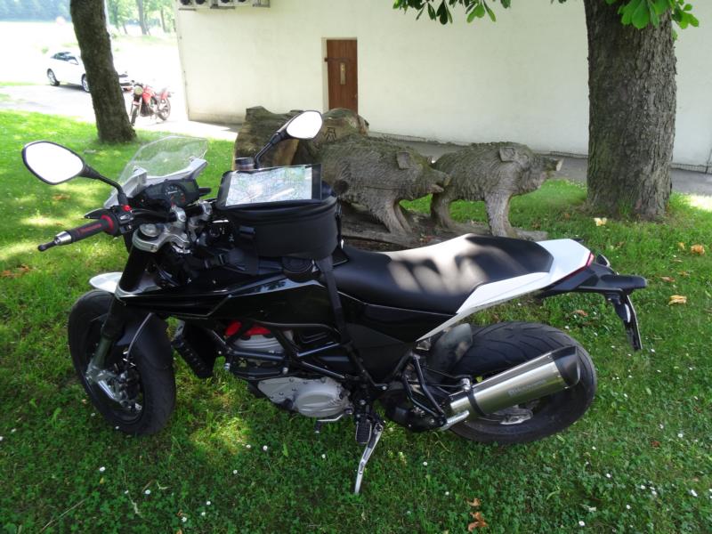 rennt wie die Wildsau 2