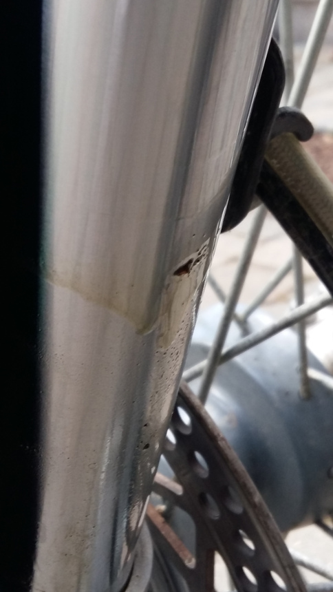 20160414_175043.jpg