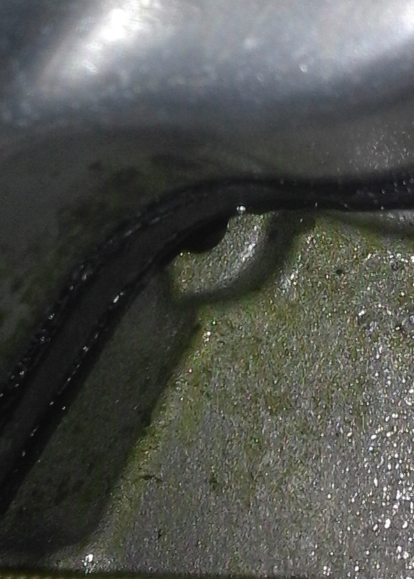 20160724_124455.jpg
