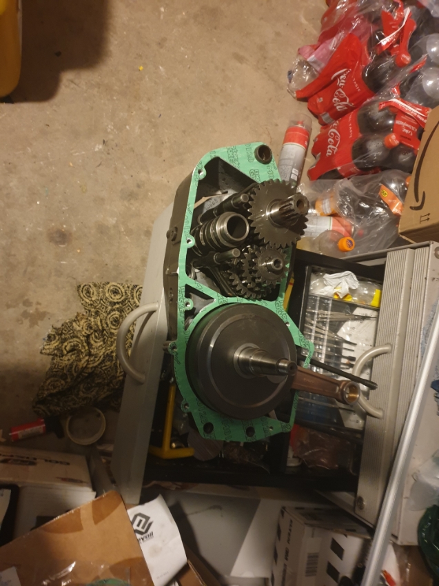 Resizer_15859391728889.jpg