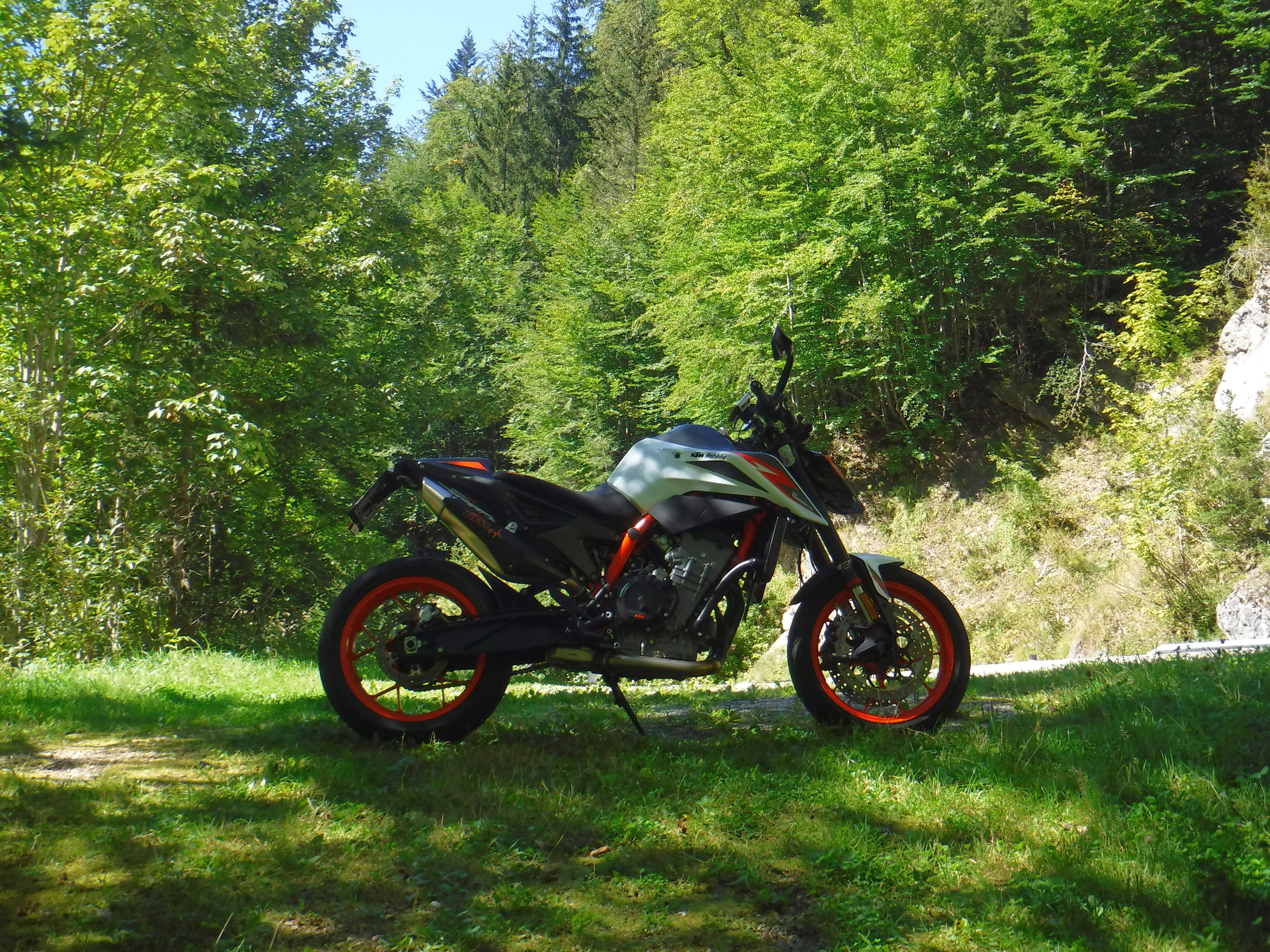 DSCF9383.jpg