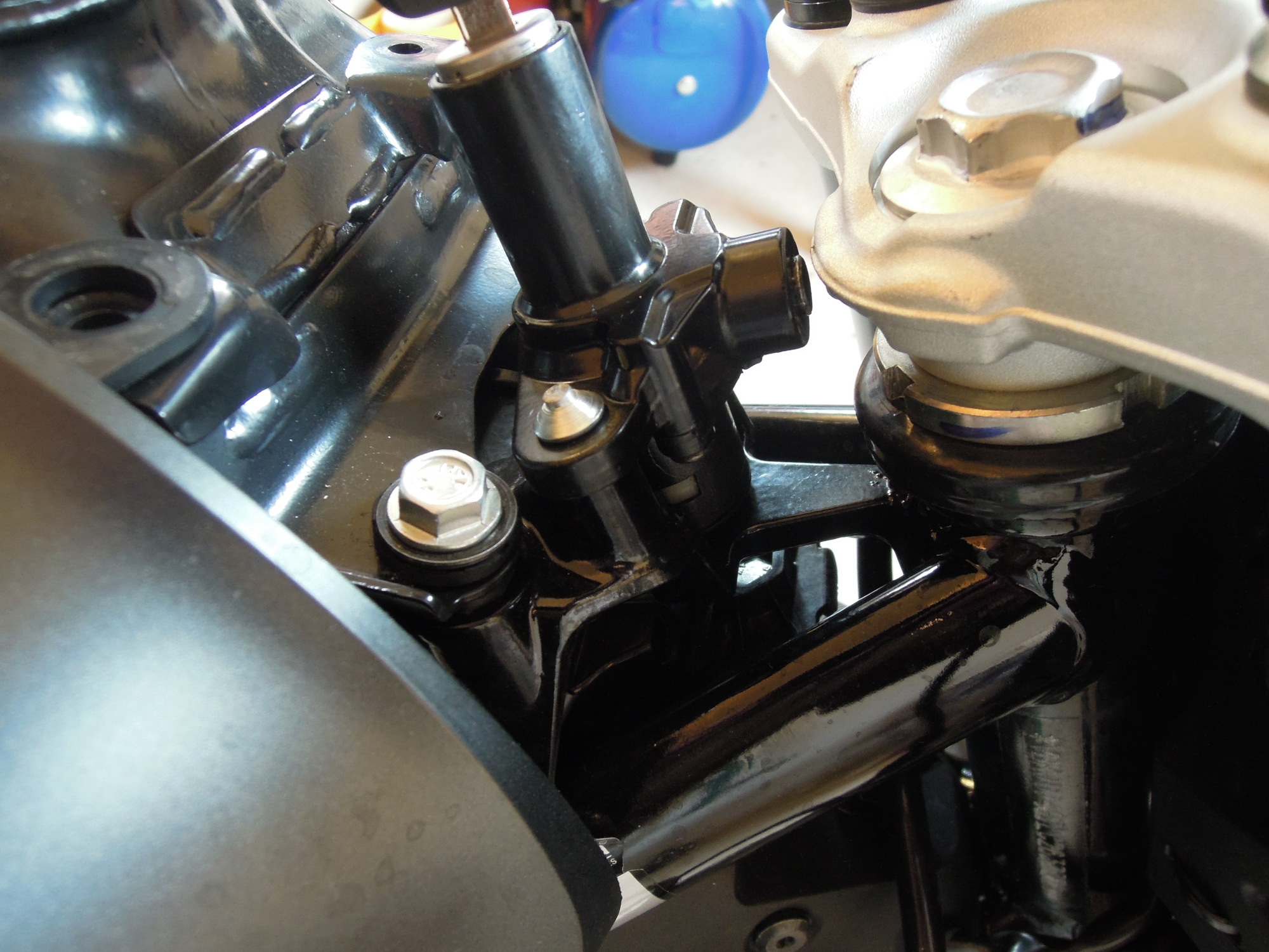 DSCN4518.geaendert.JPG