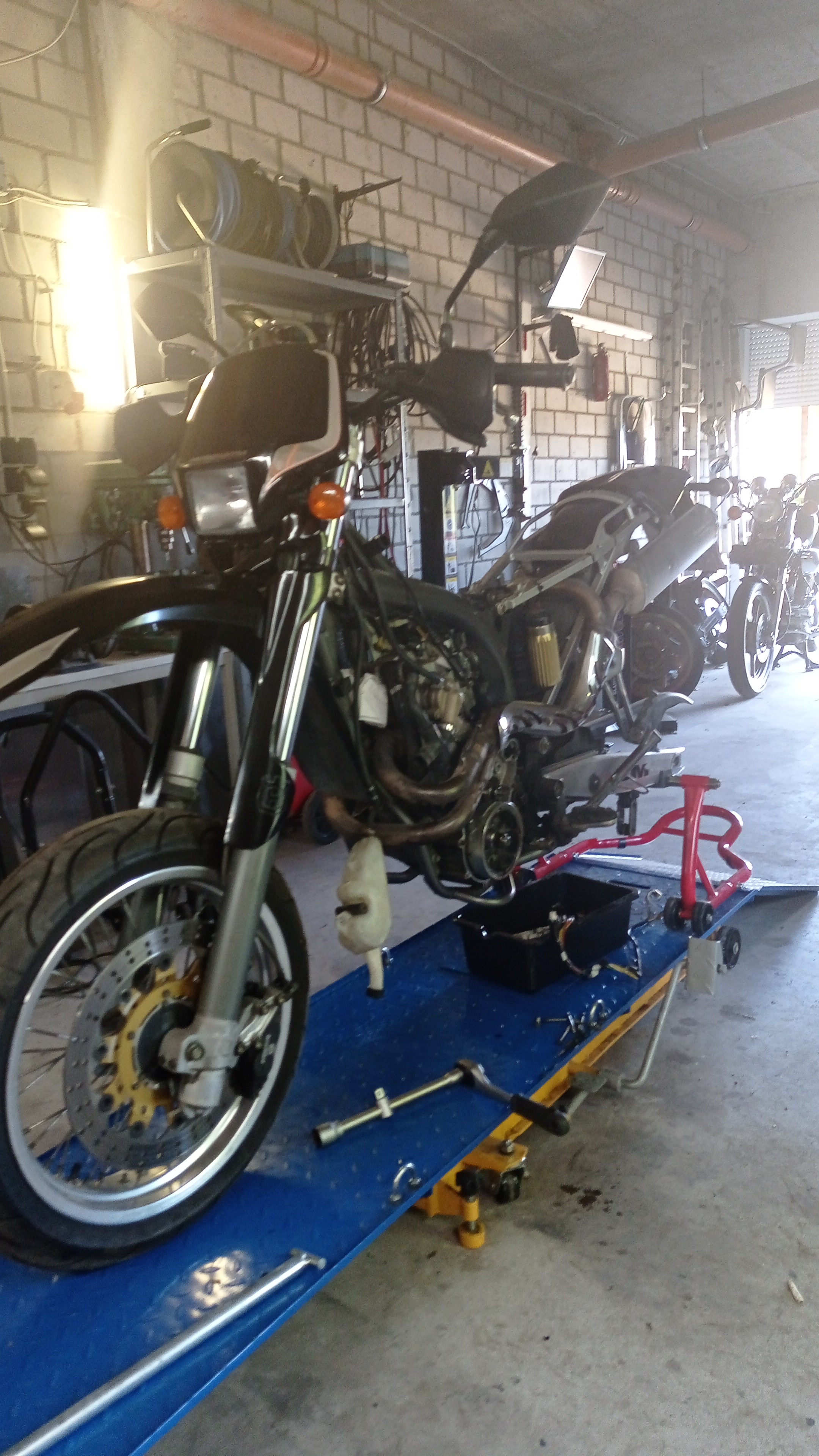 IMG-20220702-WA0002.jpeg
