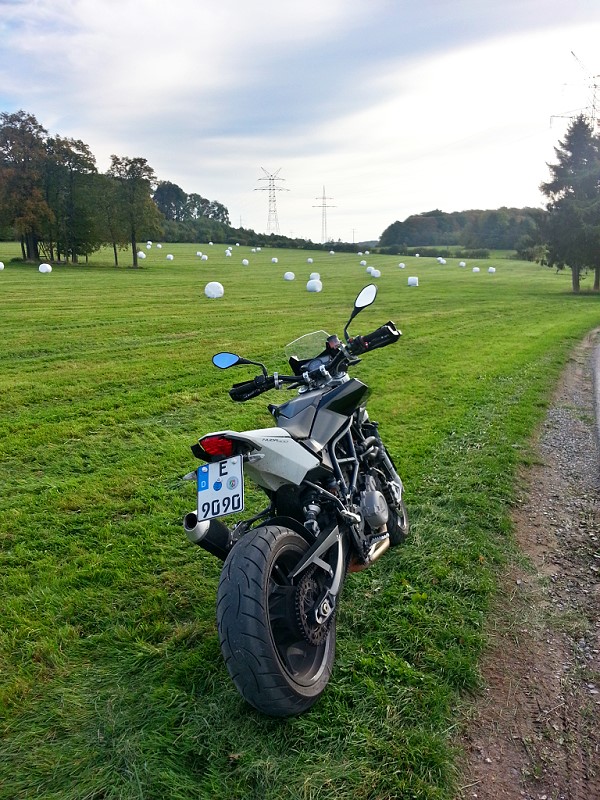 nuda-champignon1.jpg