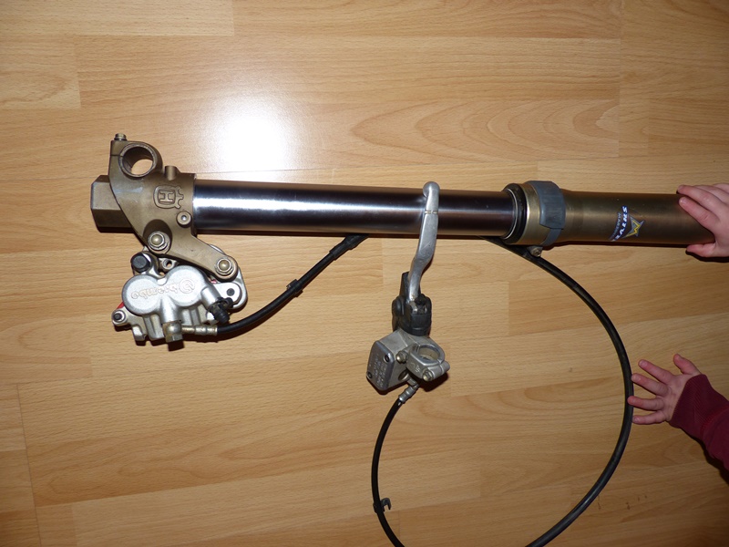 P1080251.JPG