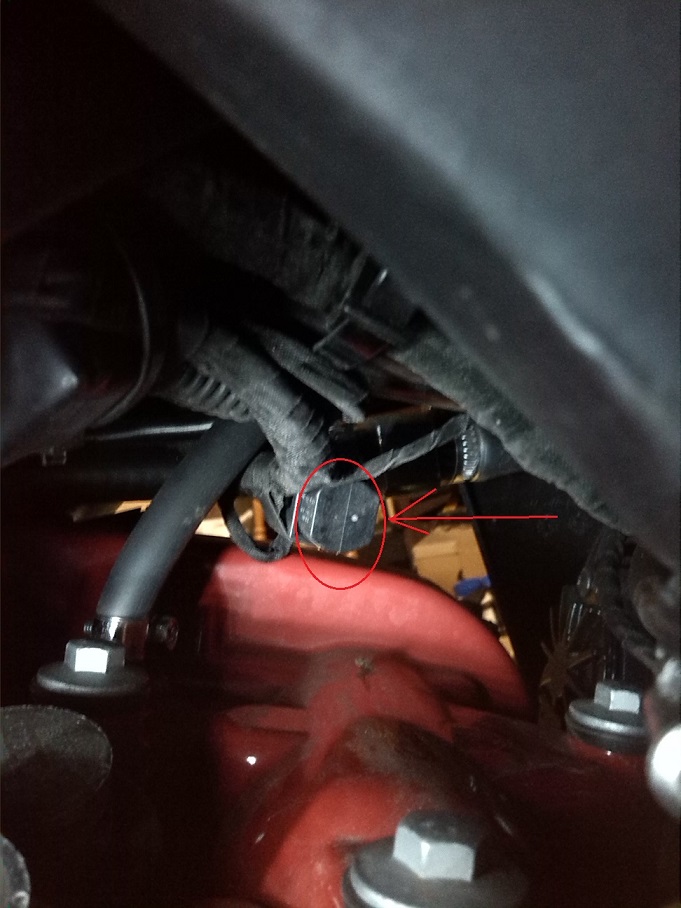 stecker.jpg