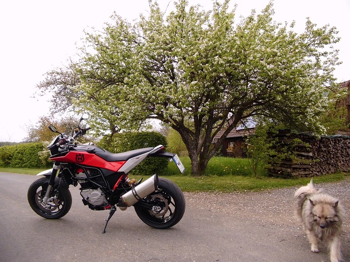 NUDA & Wächter.JPG