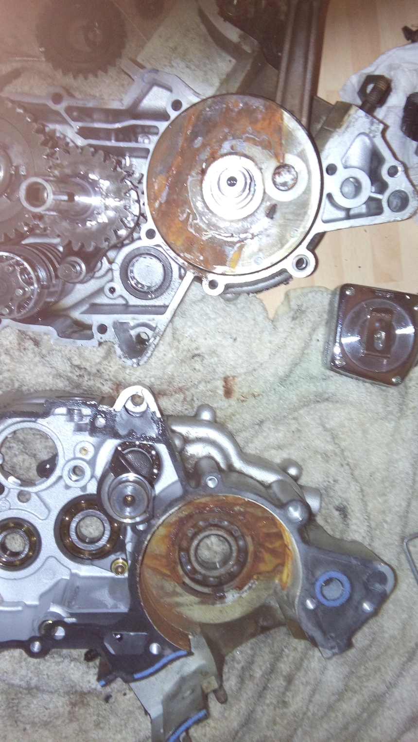 20150321_163803.jpg